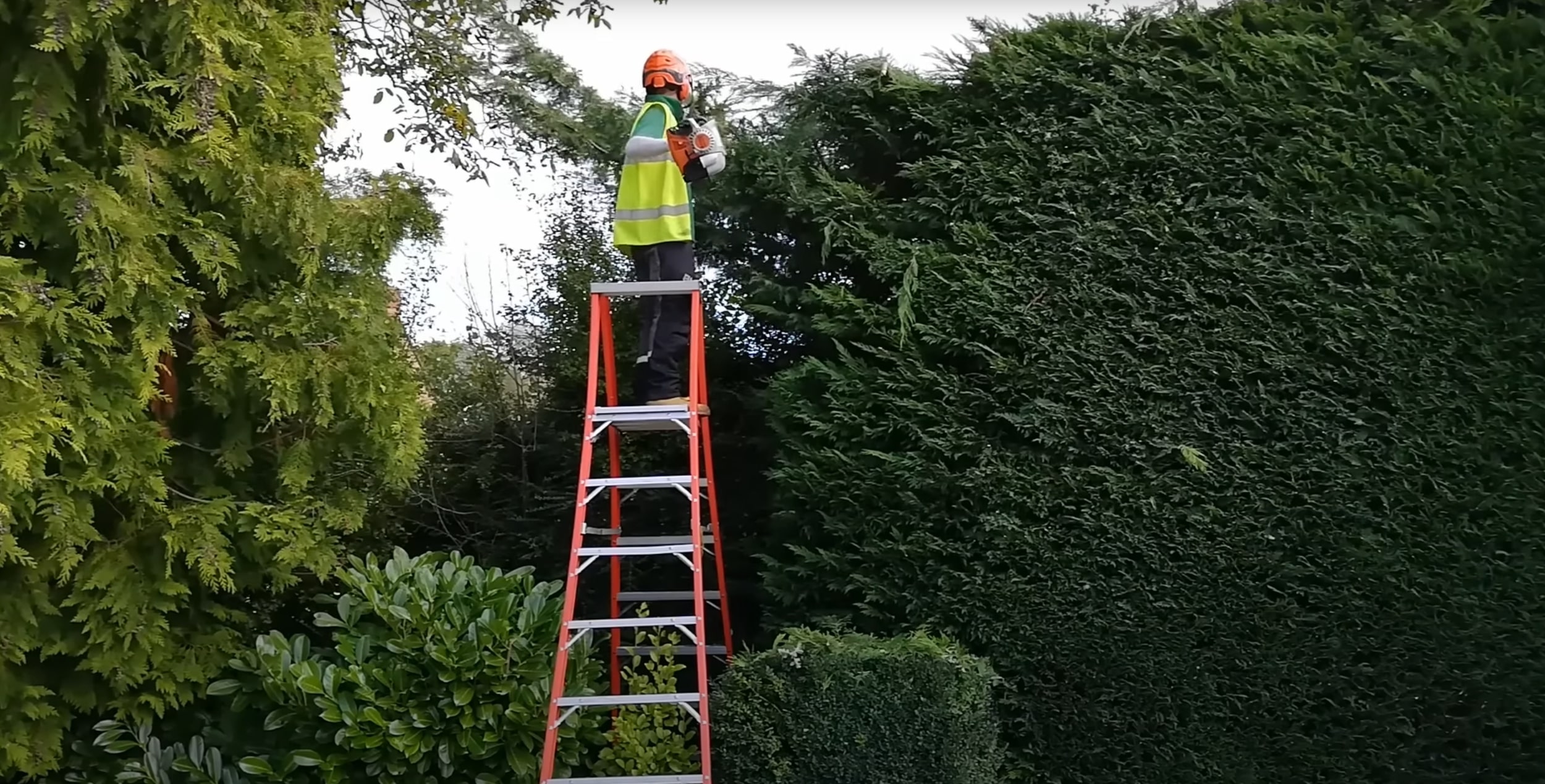 Shrub and hedge trimming in Quincy, IL