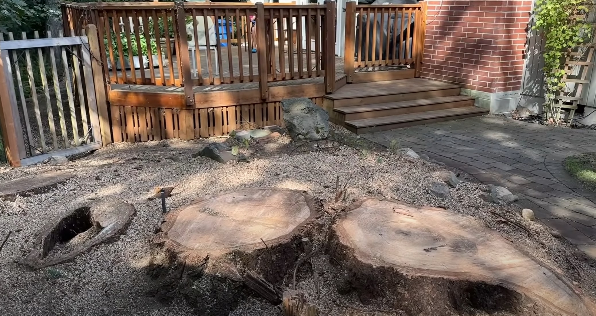 Tree stump removal in residential backyard in Quincy, IL